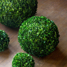 Load image into Gallery viewer, Preserved Boxwood Ball, multiple Sizes
