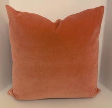 Load image into Gallery viewer, Velvet Pillow multiple colors available
