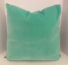 Load image into Gallery viewer, Velvet Pillow multiple colors available
