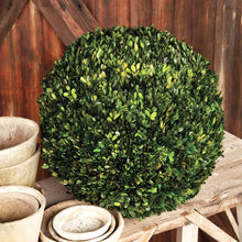 Load image into Gallery viewer, Preserved Boxwood Ball, multiple Sizes
