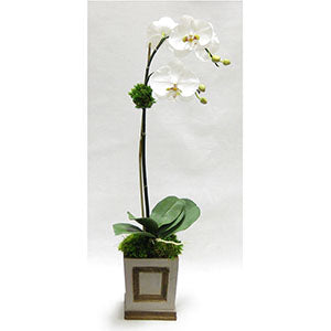 Wooden Small Square Container w/Inset Patina Distressed w/Bronze - White & Green Two Spike Orchid Artificial